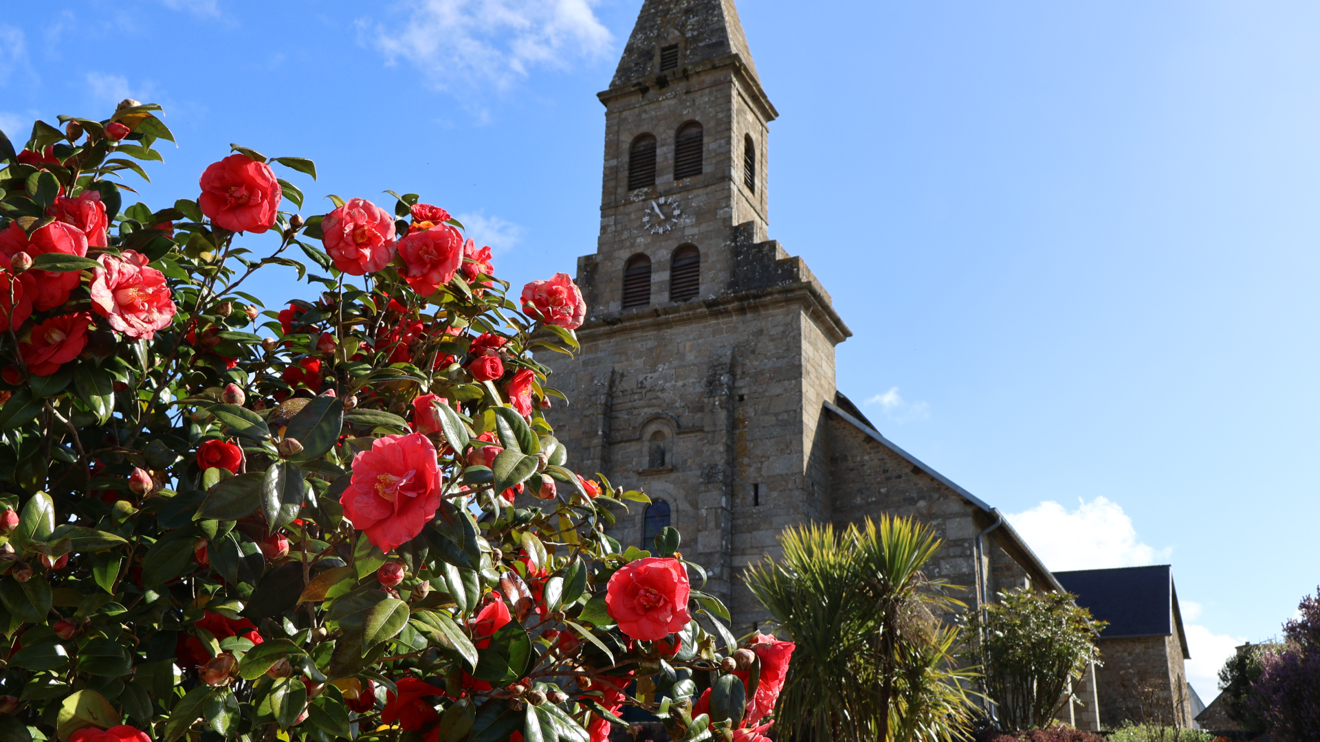 Eglise Saint-Pierre